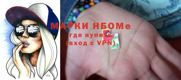 хмурый Абаза