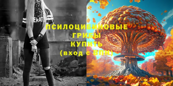 индика Армянск