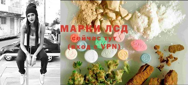 хмурый Абаза