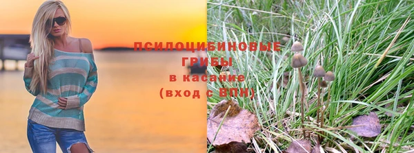 PSILOCYBIN Навашино