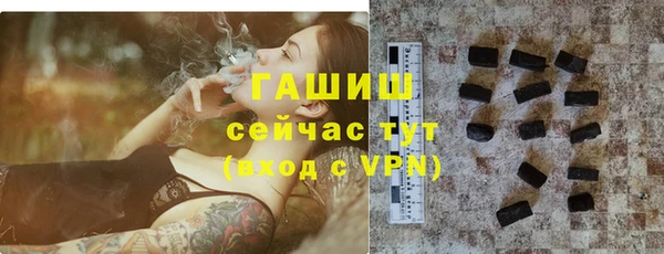 прущие грибы Надым